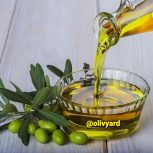 زیتون و روغن زیتون