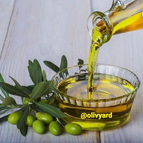 زیتون و روغن زیتون
