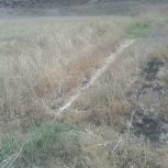 زمین کشاورزی خام در روستای ایچی
