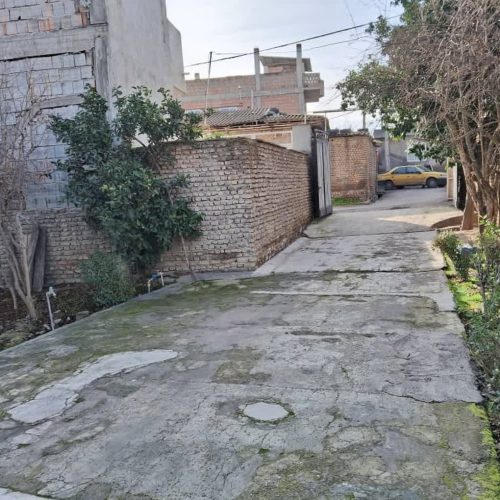 زمین حیاتی