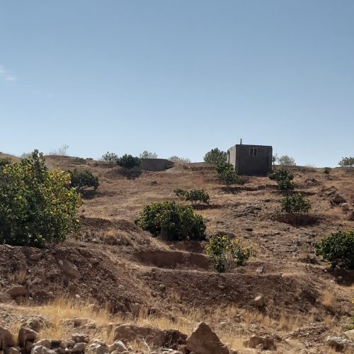 باغ انجیر استهبان