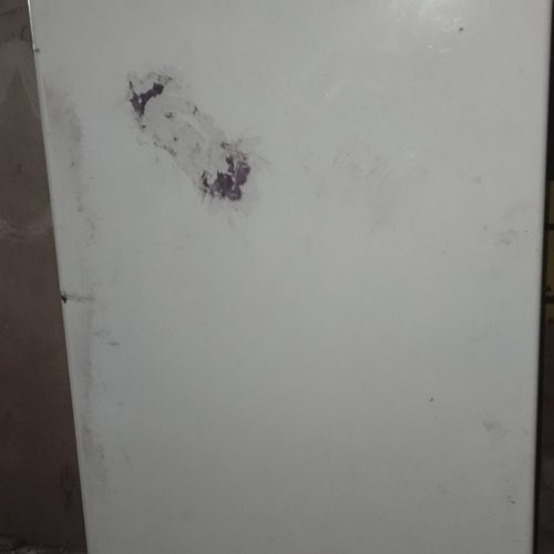 فروش یک یخچال خانگی