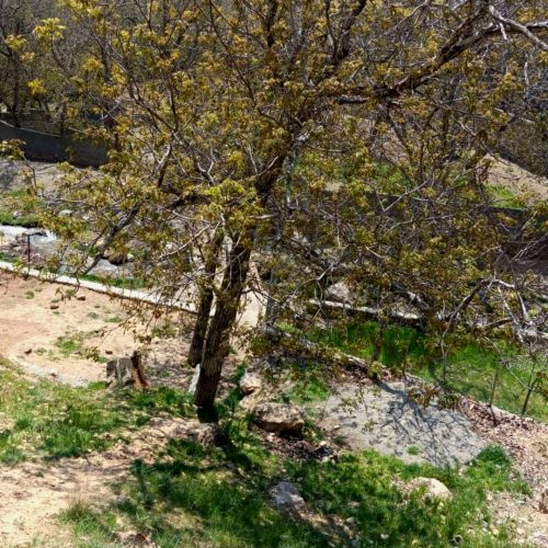 124 متر زمین در دربند ولیان