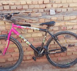 دوچرخه 26. اساک دماوند