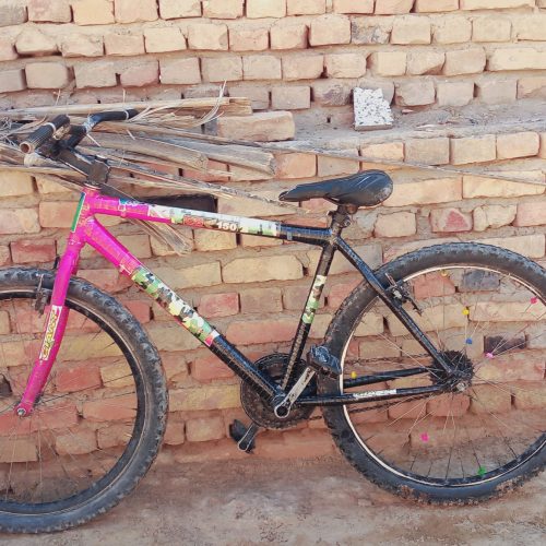 دوچرخه 26. اساک دماوند