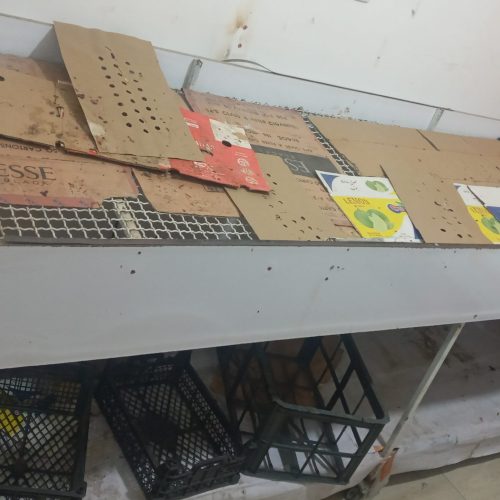 میز میوه فروشی