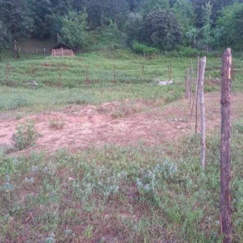 فروش 700متر زمین کاملا مسکونی