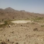 ش قصرقند پاسک