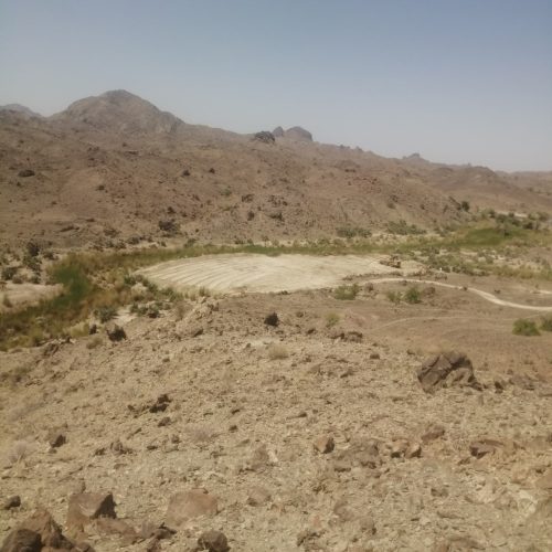 ش قصرقند پاسک