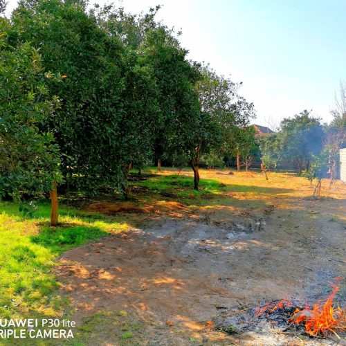 550 متر زمین داخل بافت