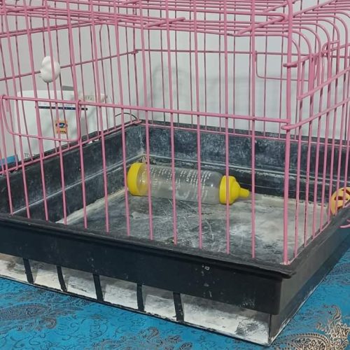 قفس برای حیوانات