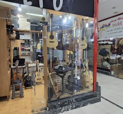 انواع گیتار و ساز الات موسیقی ایرانی و خارجی