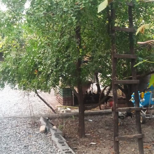 زمین ب متراژ 300 متر دارای اب.برق و گاز دارای یک سوئیت ب متراژ 50 متر