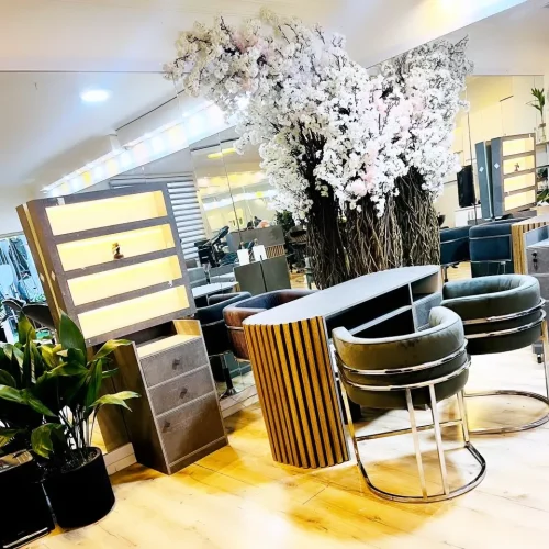 اجاره لاین سالن زیبایی