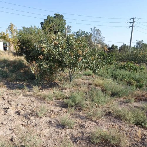 زمین 400 متری