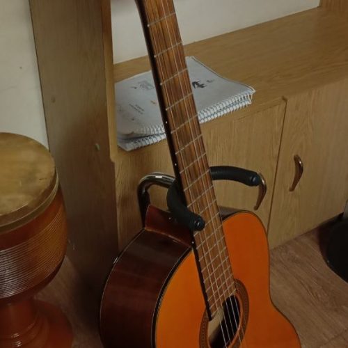 گیتار کلاسیک اصل آریا AK50