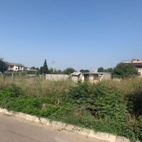 230 متر زمین واقع در مهدشت