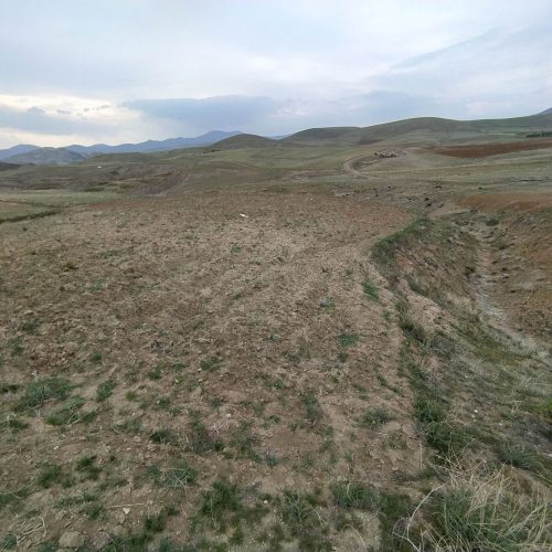 فروش زمین کشاورزی دیم