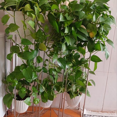 استند گل فلزی