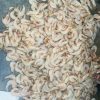 عرض مستقیم ماهی ازبندر عباس .با .مدیریت اقای ابوذری.
