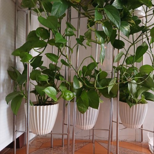 استند گل فلزی