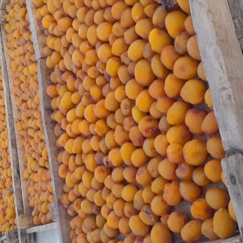 الو افتابی درجه یک