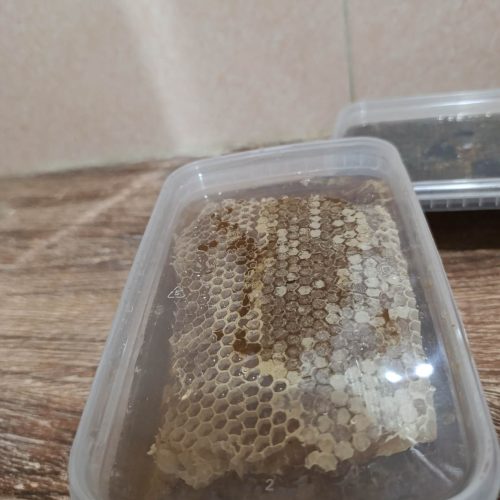 عسل طبیعی کردستان