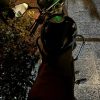 موتور پالس پره مدل 88
