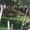 زمین 500 متری پلاک بندی شده
