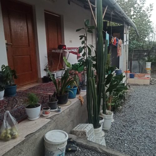 زمین ب متراژ 300 متر دارای اب.برق و گاز دارای یک سوئیت ب متراژ 50 متر