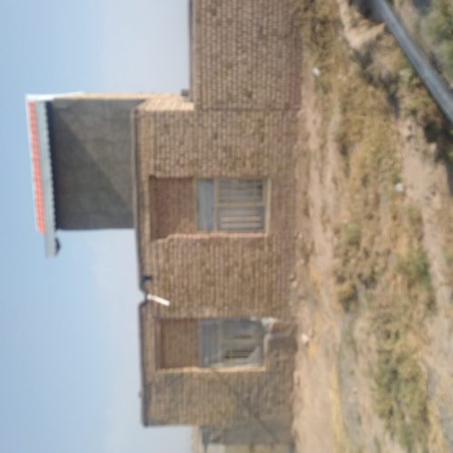 زمین گاوداری