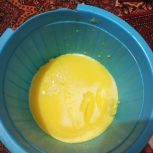 روغنی حیوانی