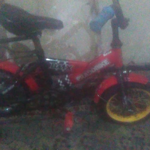 دوچرخه دوازده رنگ قرمز به قیمت 1700