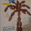 کتاب درسی عربی جامعه خیلی سبز رشته انسانی