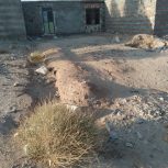 زمین در زاهدان روستا پوگی 2