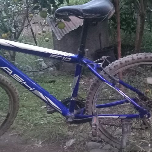 دوچرخه 26 flash f10