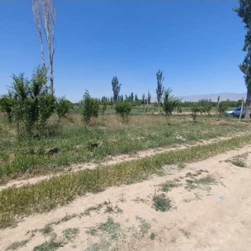 فروش قطعه زمین 500متری