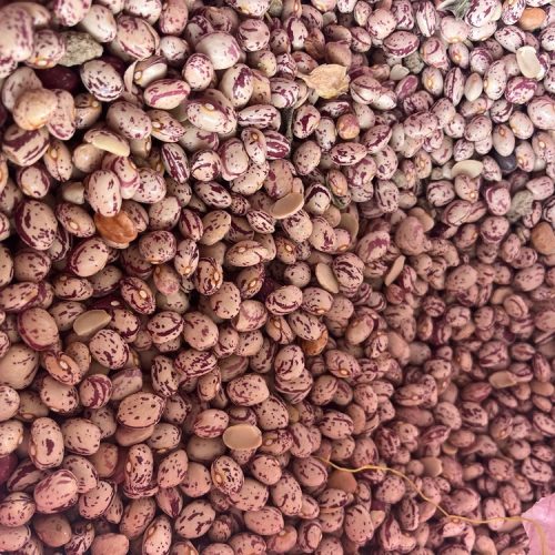 فروش حبوبات محلی گلستان