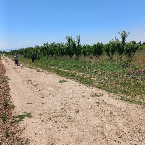 فروش قطعه زمین 500متری