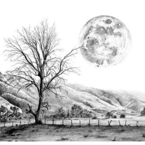 آموزش نقاشی قلم سیاه