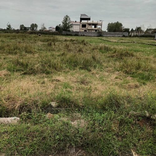 زمین 250 متری