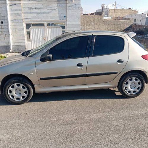 206تیب 2 ماشین خانگی. پاسخ دهی  1ظهر به بعد