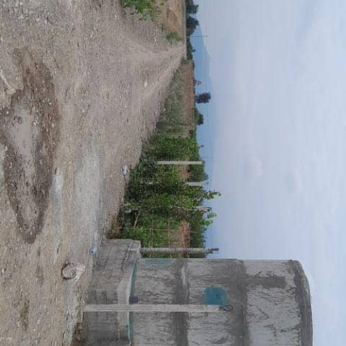 1300 متر زمین قواره بندی شده باغی