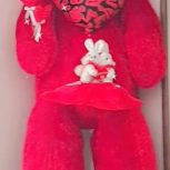 خرس ولنتاین