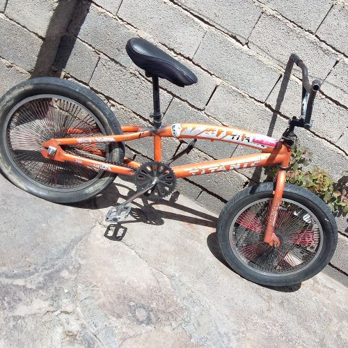 دوچرخه 20 حرفه ای