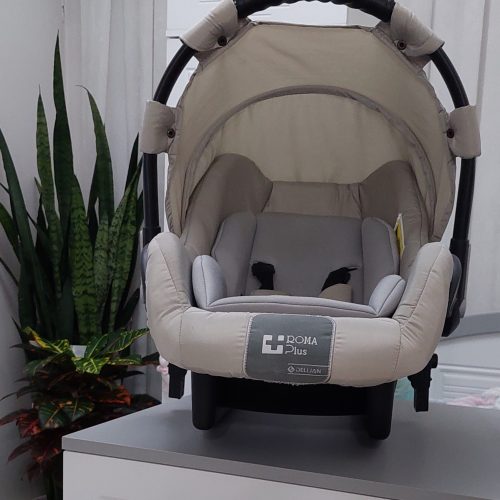 کالسکه و کریر