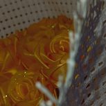 فروش گل روبانی