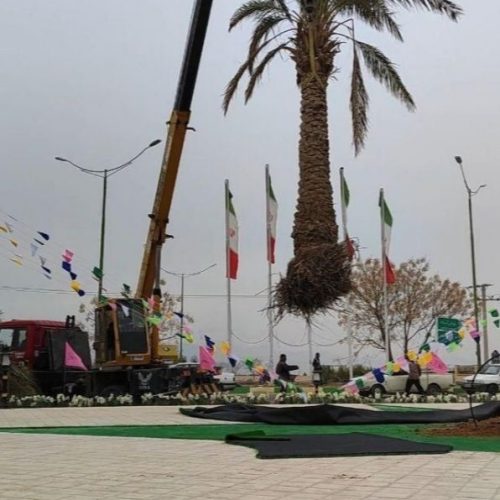 انواع نهال مرکبات ودرخت نخل بهترین