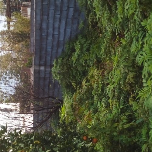 فروش زمین مسکونی داخل بافت