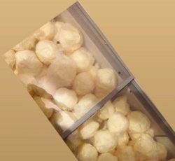 فروش کره محلی کیلو 150 هزار تومان